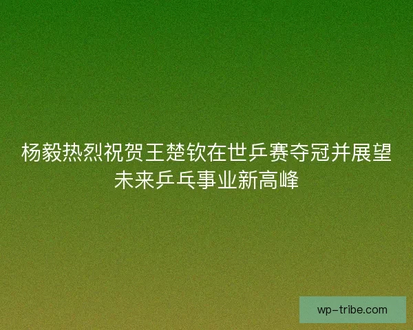杨毅热烈祝贺王楚钦在世乒赛夺冠并展望未来乒乓事业新高峰