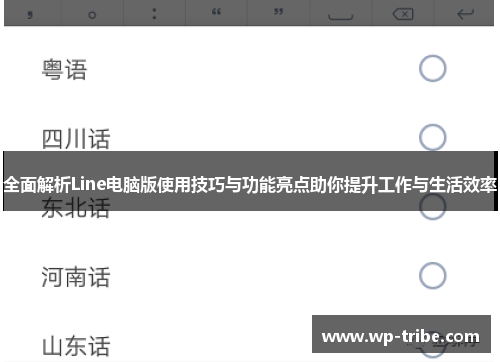 全面解析Line电脑版使用技巧与功能亮点助你提升工作与生活效率